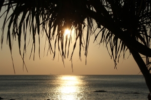 Sunset on Koh Lanta, as seen through a veil of Screw Pine leaves.